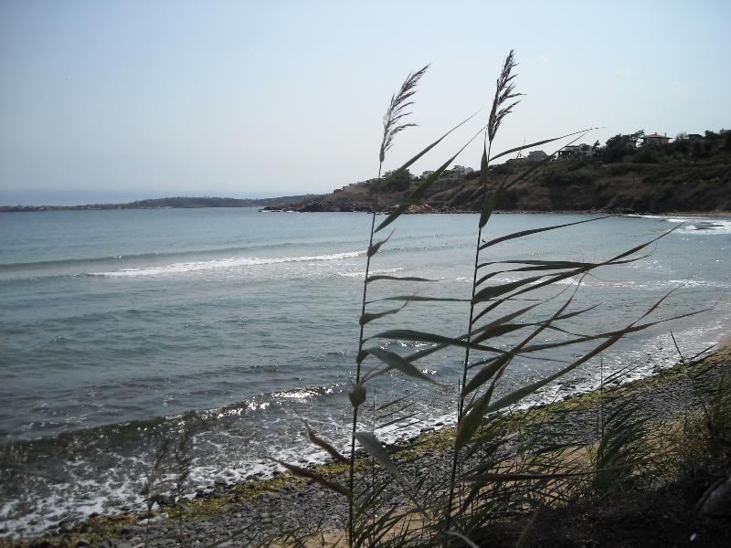 Black Sea Star 체르노모레츠 외부 사진